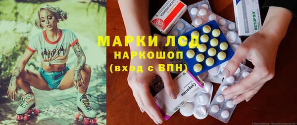 ПСИЛОЦИБИНОВЫЕ ГРИБЫ Липки