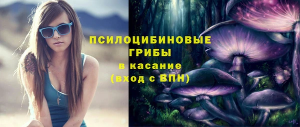 гашик Лиски